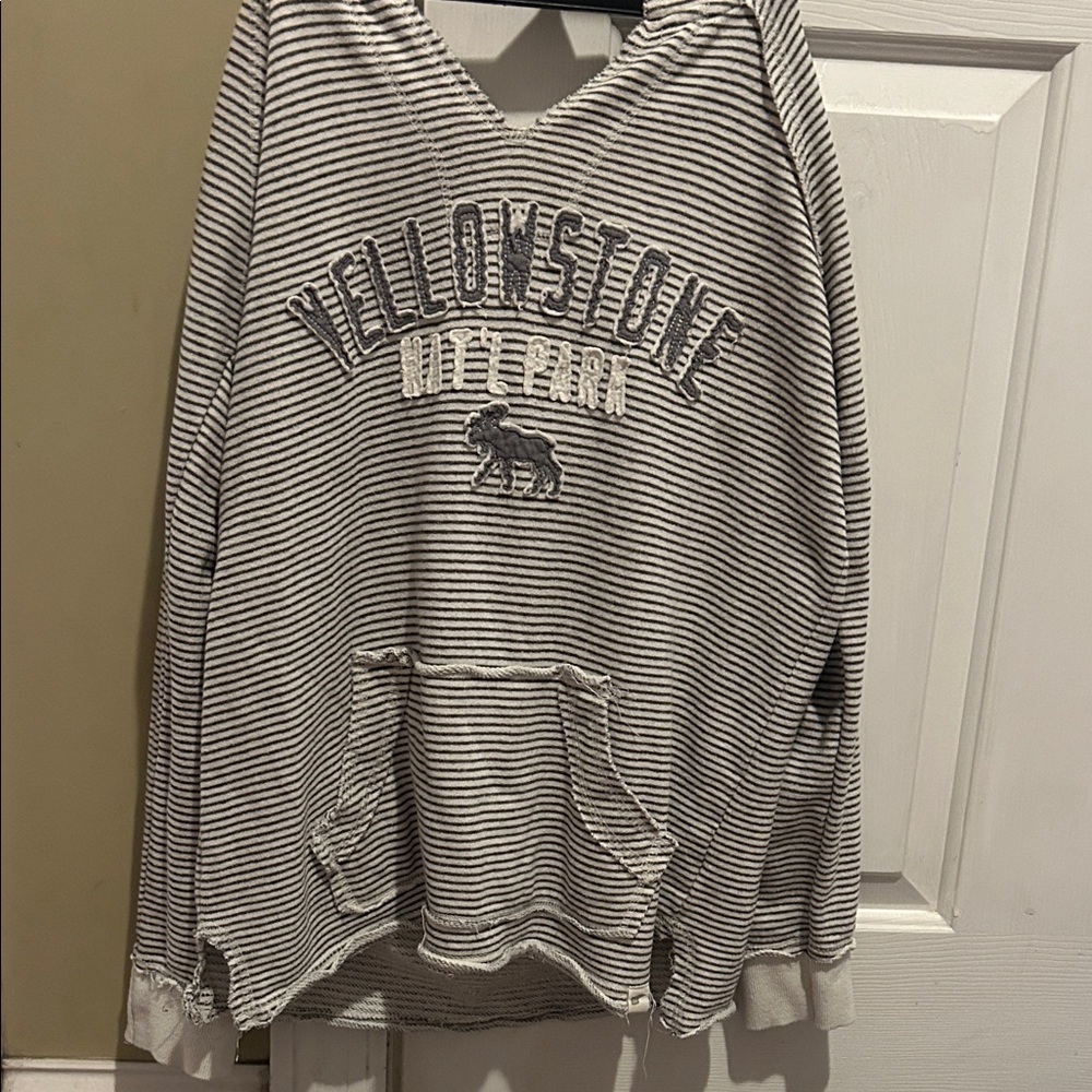 Blue 84 Striped Yellowstone Hoodie